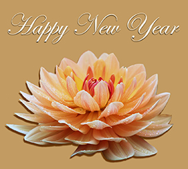 flower New Year wish clipart