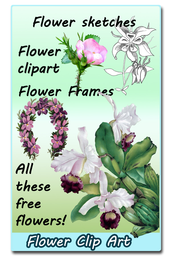 flower clip art ideas