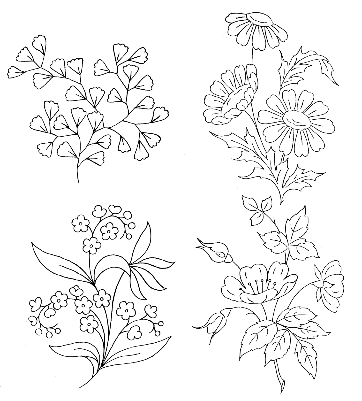 flower coloring
