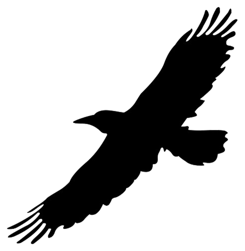 silhouette of flying big bird