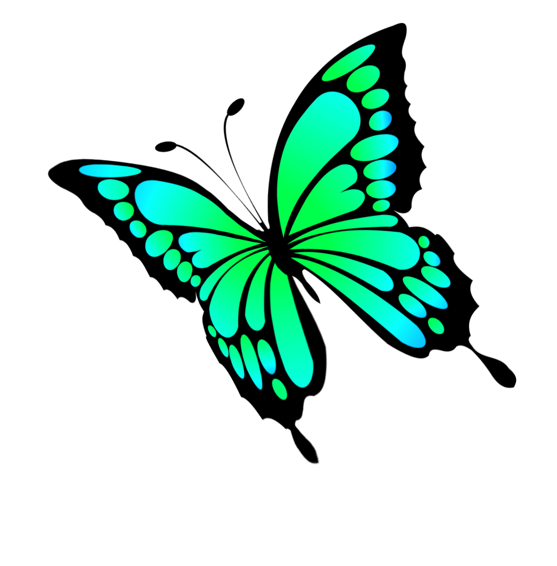 Green Flying Butterfly PNG Clipart​