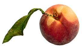 fresh peach with leaf