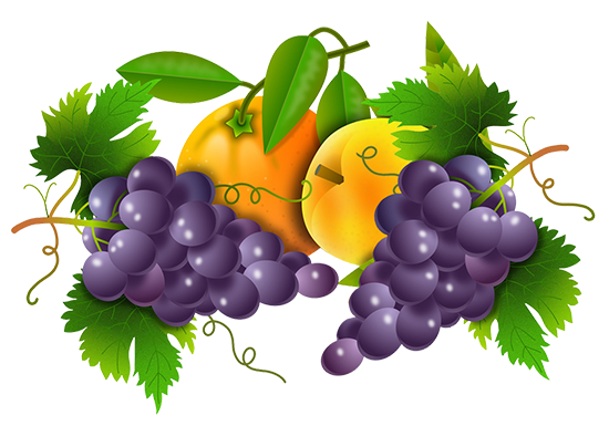 fruit clipart grapes peach orange