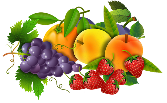 different kinds of fruit clipart