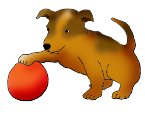 Cute puppy with red ball