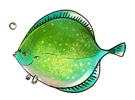 funny flatfish clipart