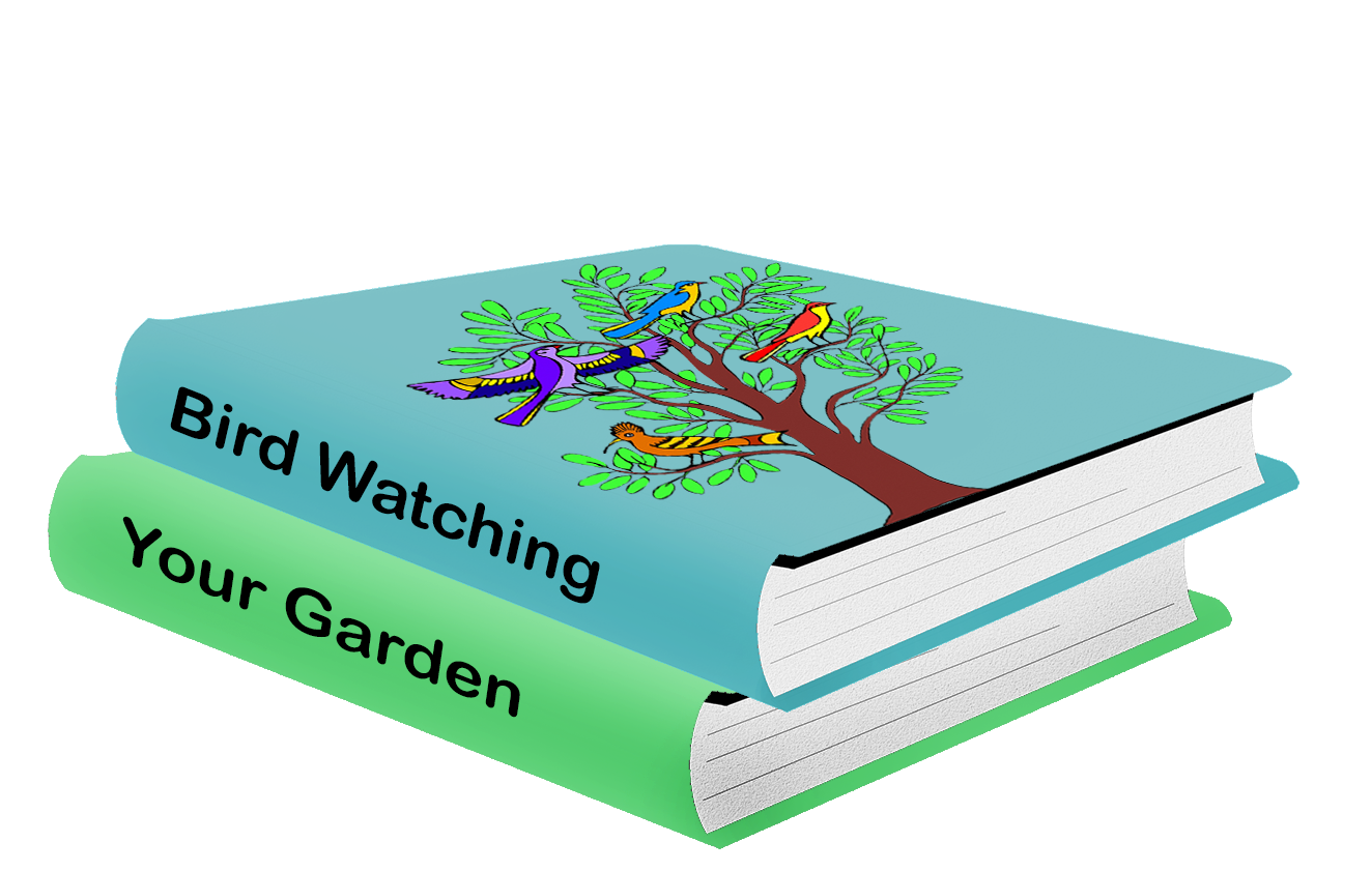 books about birds and garden clipart
