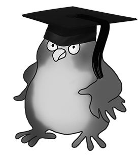 graduation owl black grey