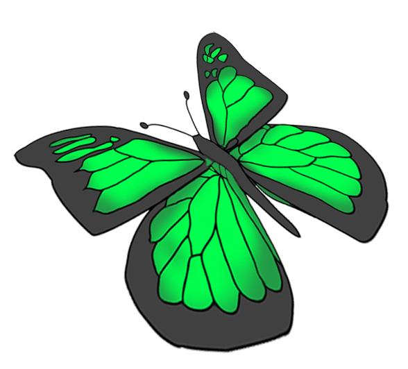 green butterfly drawing