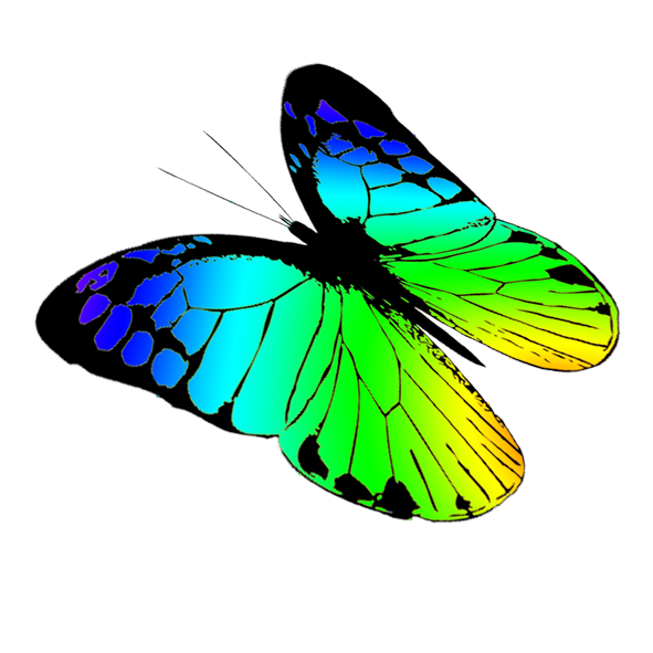free butterflies drawing