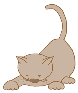 grey cartoon cat clipart