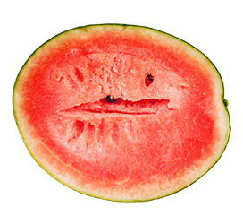 half watermelon clipart