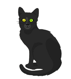 cute black Halloween cat