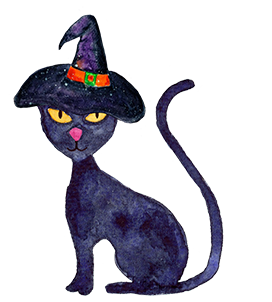 halloween witch cat