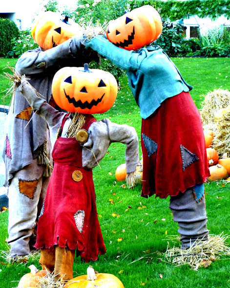 halloween pictures playing pumpkin people