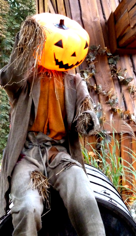 halloween pumpkin man on barrel