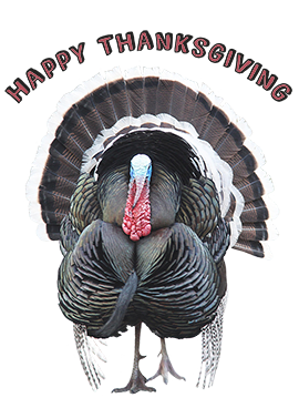 Happy Thanksgiving turkey clipart