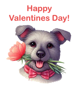 happy valentines day dog with flower