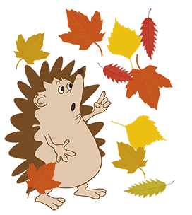 hedgehog in fall with fall leaves