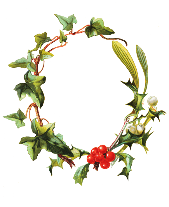 Frame holy mistletoe ivy
