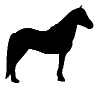 horse silhouette