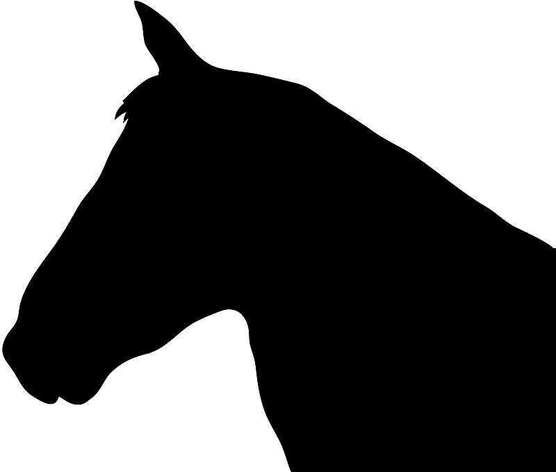 Black silhouette of horse head