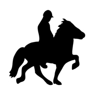 horseman with horse silhouette