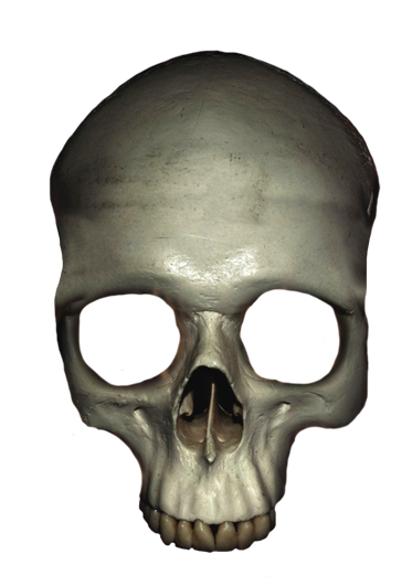 human head skull clipart