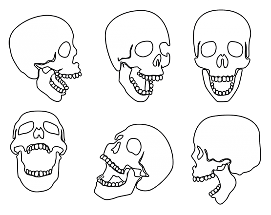 human skulls drawings