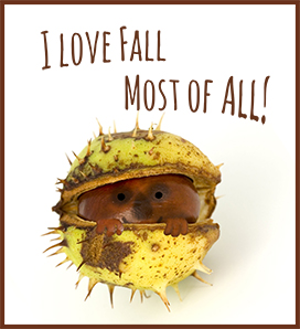 I love fall most of all chestnut