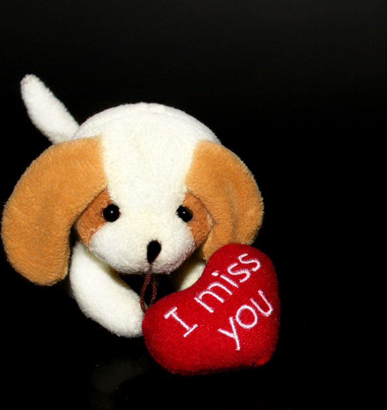 i miss you greeting for Valentines Day