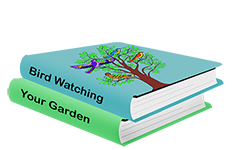 book clipart image