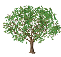 tree clipart small