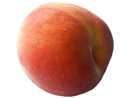 isolated peach clipart