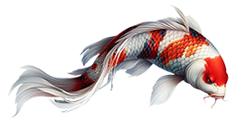 Japanese Koi fish drawing clipart