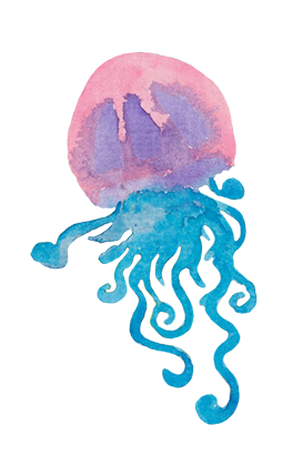 nautical jellyfish drawing watercolor