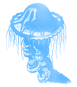 jellyfish image blue