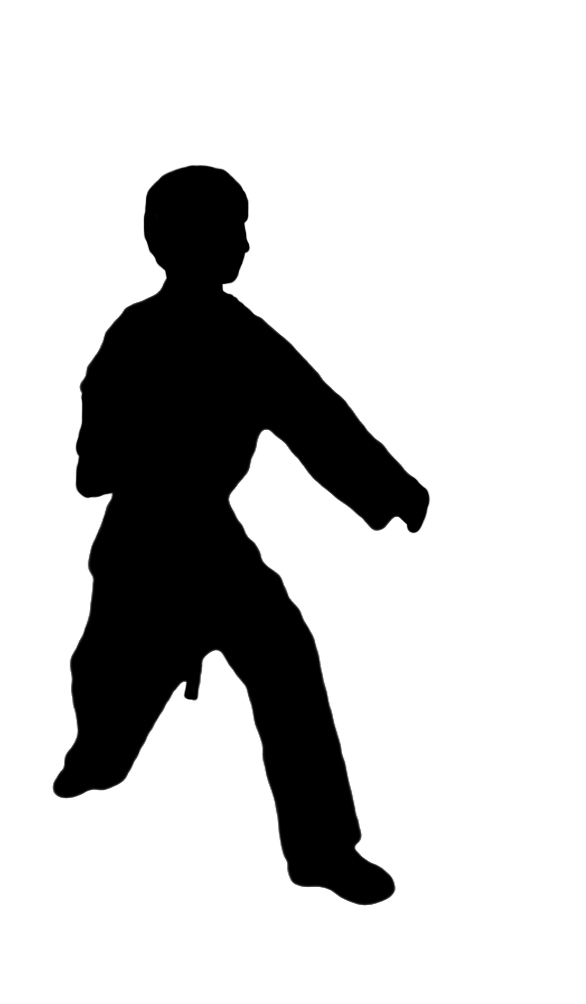 silhouette of karate position