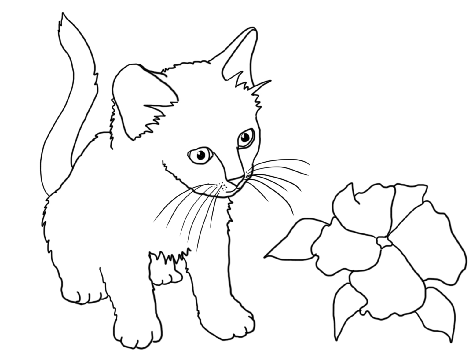 Download Cat Coloring Pages