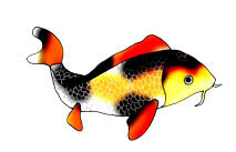 koi fish clip art