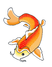 koi fish drawings orange