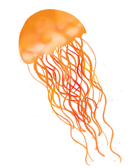 lions mane jellyfish clipart