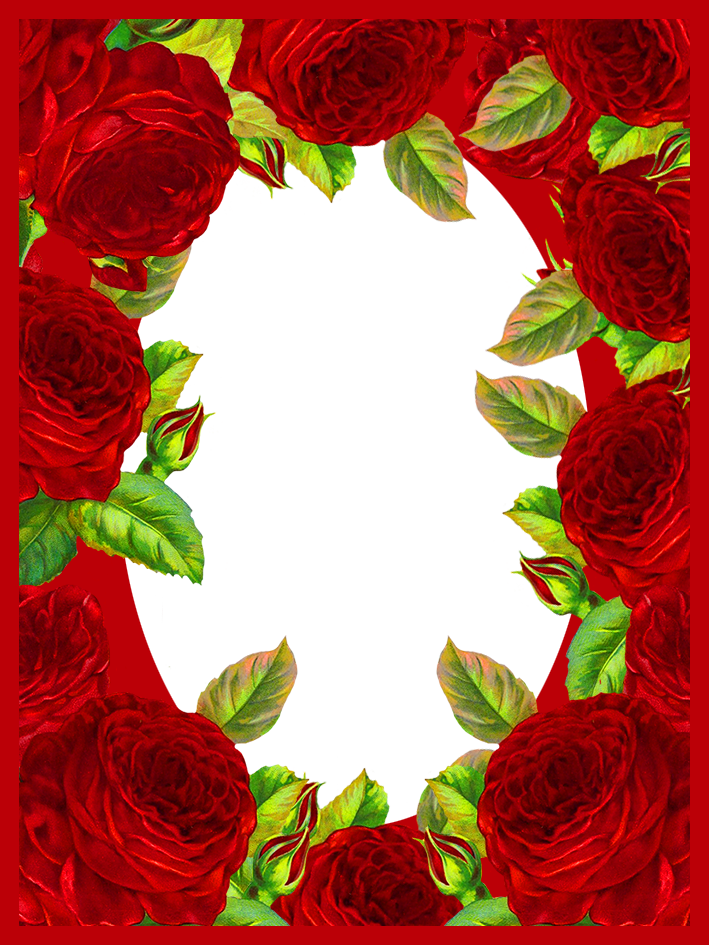 frame with lots of red roses for Valentines day
