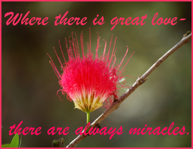 quote about love and miracles