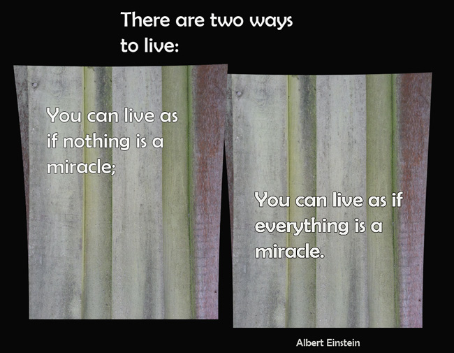 quote about life and miracles