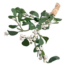 mistletoe clipart