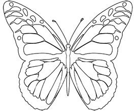 monarch butterfly coloring page to print