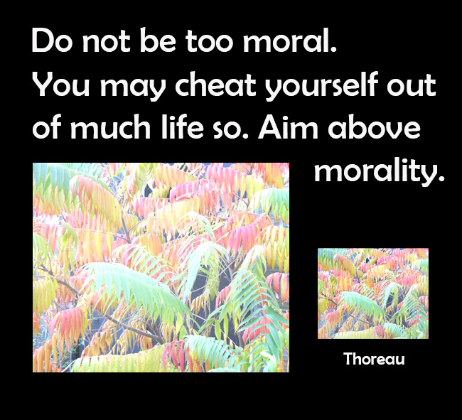 quotes about moraliti and life