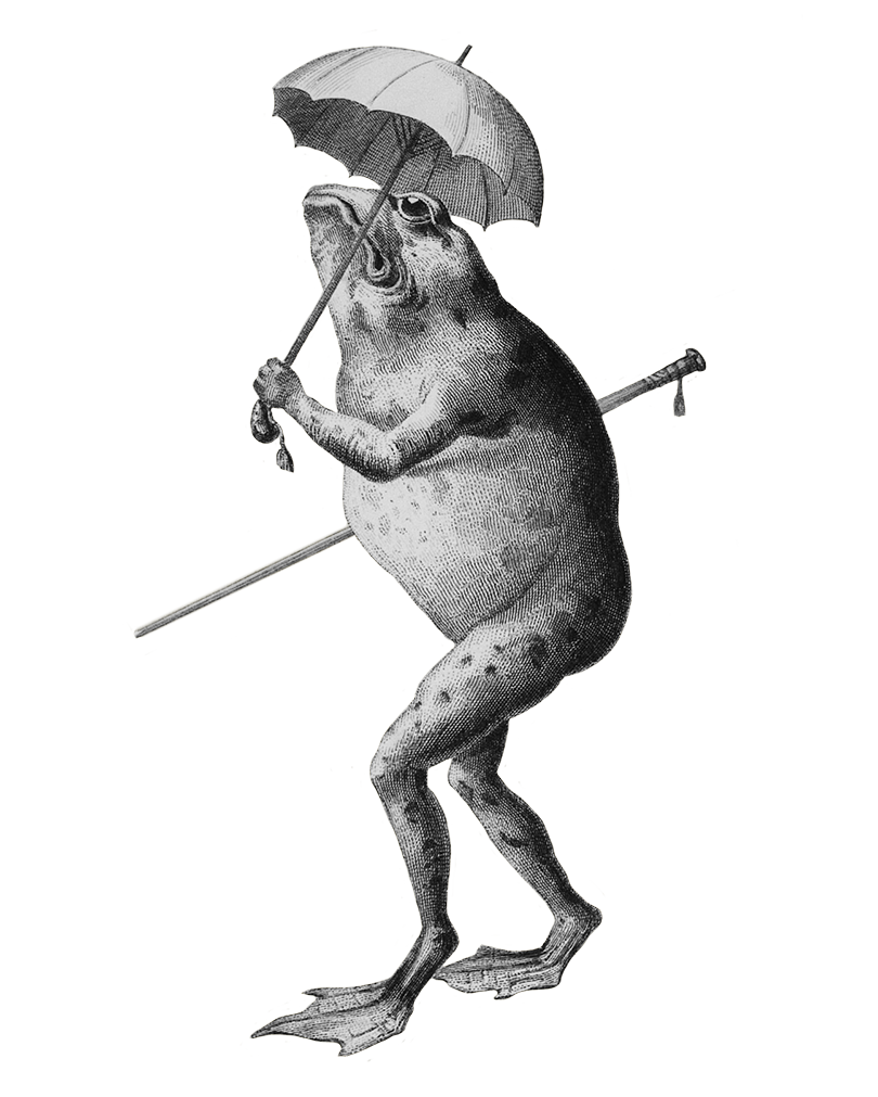 cartoon frog with umbrella