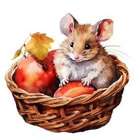 mouse in basket with apples
